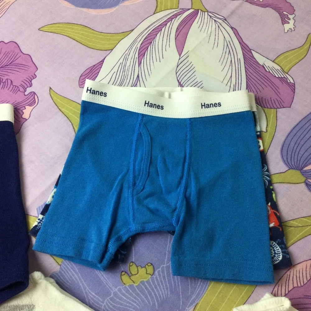 NWOT  Hanes Lot Toddler Boy boxers  & socks